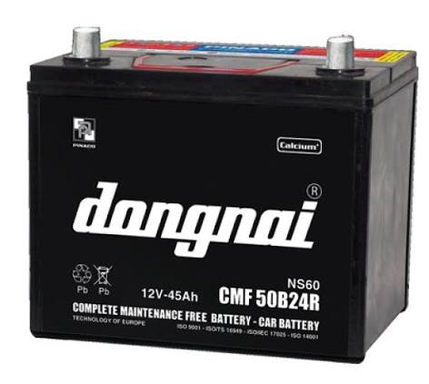 Ắc quy Đồng Nai CMF 31800 (12V - 100AH)